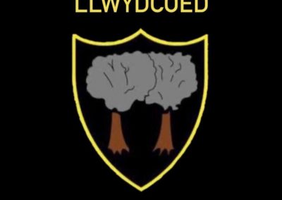 Llwydcoed Band