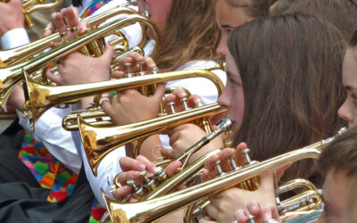 Safeguarding Lead Job Description